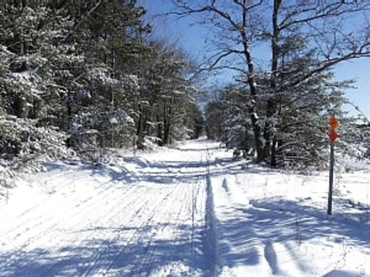 Black Mountain Recreational Area Vacation Rental Cheboygan Exterior photo